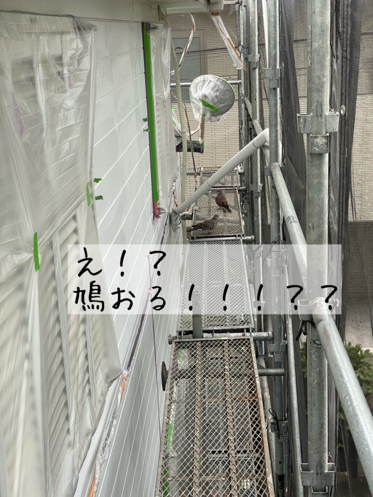 松戸市松戸外壁塗装工事事例